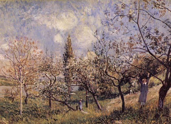 Alfred Sisley Orchard in Sping-By oil painting image